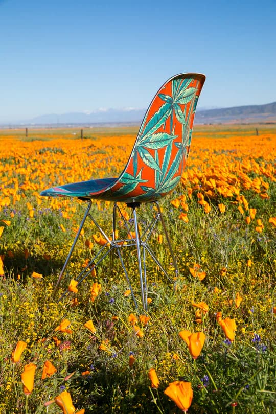 Modernica x G-Putt Eames Chair